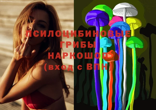 МДПВ Алексеевка