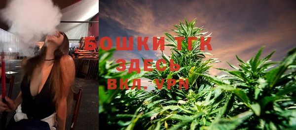 шишки Абинск