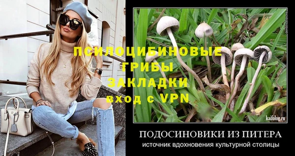 МДПВ Абаза