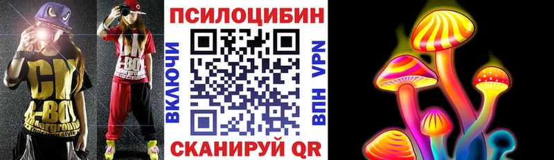 Галлюциногенные грибы Psilocybine cubensis  как найти   Цивильск 