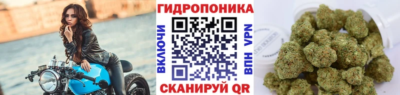 цена   Цивильск  Каннабис Bruce Banner 